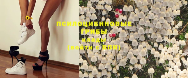 ешки Алексин