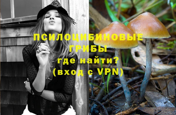 ешки Алексин